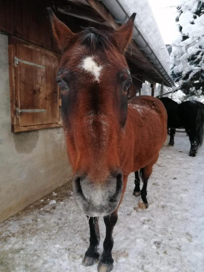 Bed and Breakfast Au Pre Des Chevaux Шато-д'Э Экстерьер фото