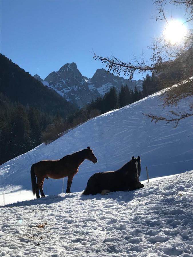 Bed and Breakfast Au Pre Des Chevaux Шато-д'Э Экстерьер фото