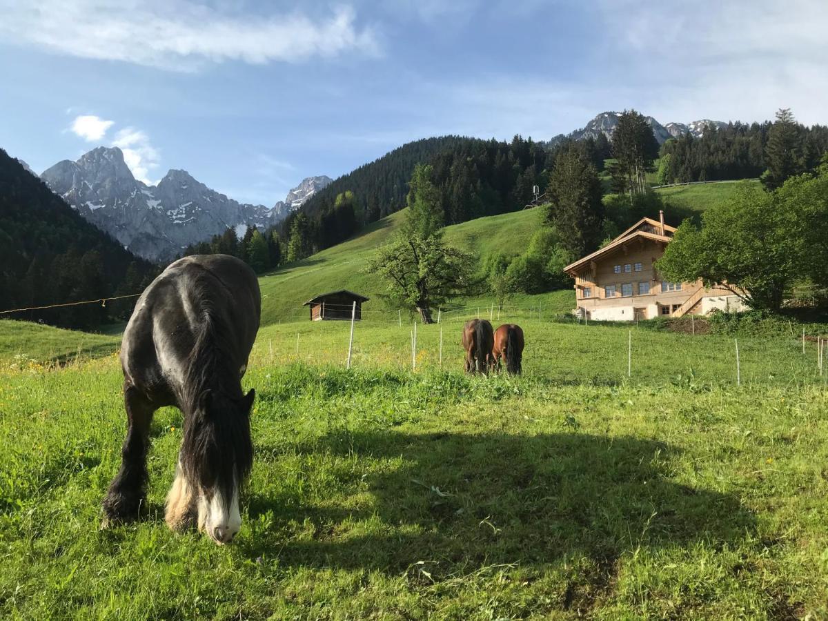 Bed and Breakfast Au Pre Des Chevaux Шато-д'Э Экстерьер фото
